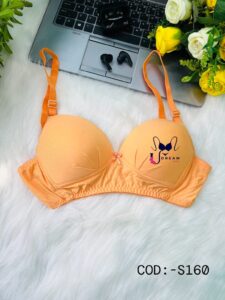 Women Soft Comfortable Foam Pad Bra :- S160